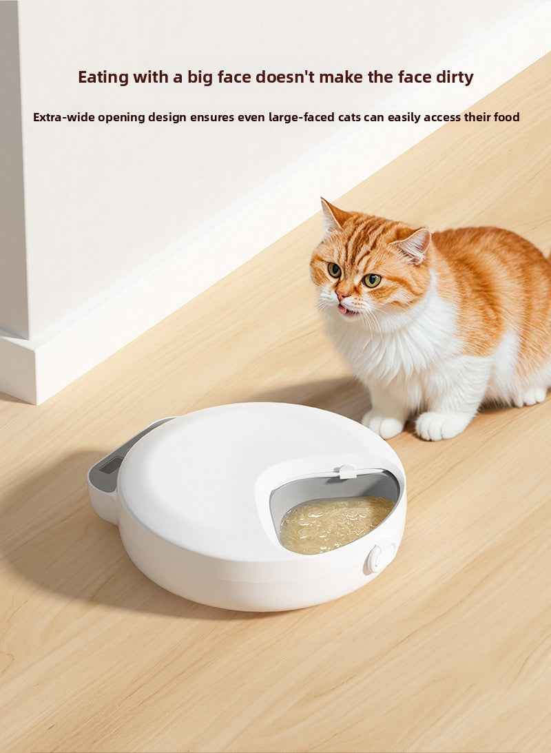 4-Meal Automatic Timed Dry & Wet Food Pet Feeder with Ice Crystal Freshness Box - Detachable & Washable - Pawembrace.com