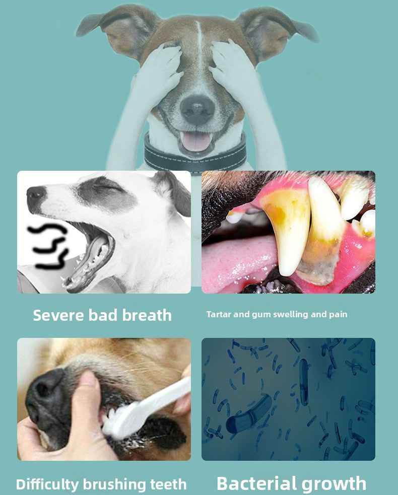 Vet Recommended Cat & Dog Mouthwash | Natural Plant-Based Pet Oral Care Rinse – 100% Alcohol-Free, Freshens Breath, Removes Plaque & Tartar, Prevents Bad Breath & Gingivitis | Safe & Gentle for Cats & Dogs - Pawembrace.com