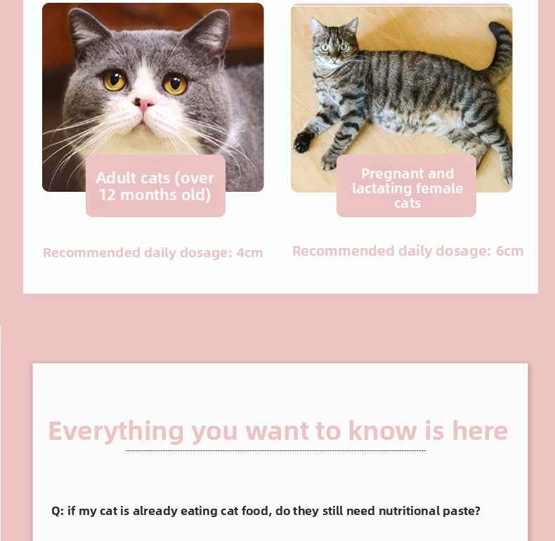 High Calorie Nutritional Gel for Cats | Cat Appetite Booster & Energy Paste – Natural Vitamins & Minerals, Supports Recovery, Improves Appetite & Vitality, Gentle Absorption, Safe for All Ages - Pawembrace.com