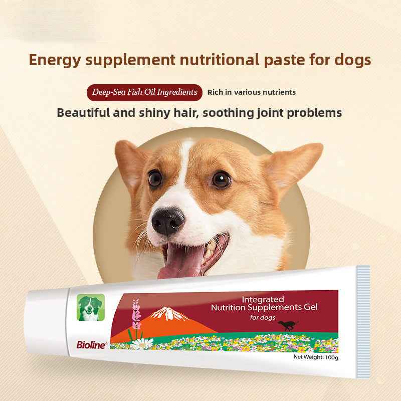 High Calorie Nutritional Gel for Dogs | Natural Vitamins & Minerals Energy Paste – Appetite Booster, Supports Recovery & Vitality, Gentle & Easy Absorption, Safe for All Ages - Pawembrace.com