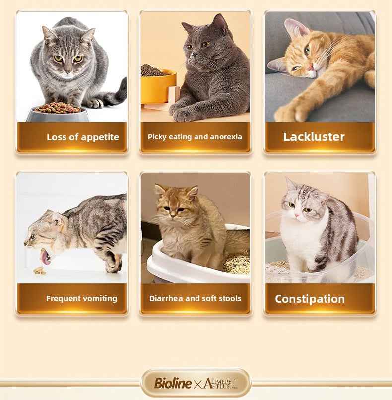 Cat Probiotics - Gut Health & Digestion Support Supplement for Pets - Pawembrace.com