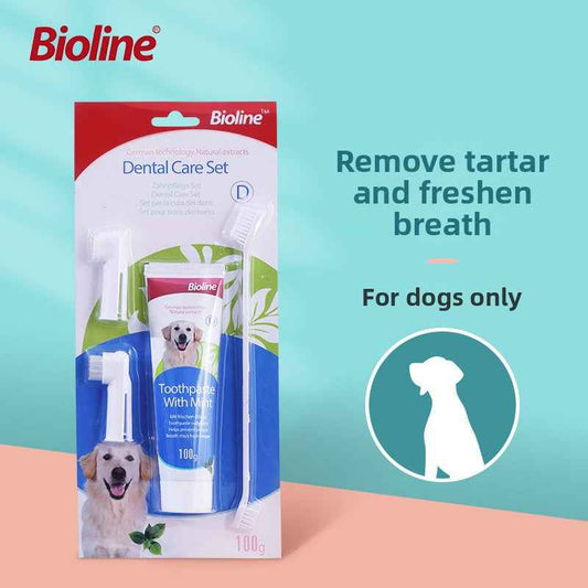 Mint Flavor Dog Toothpaste Kit – Natural Safe Formula, Fresh Breath, Plaque & Tartar Care - Pawembrace.com