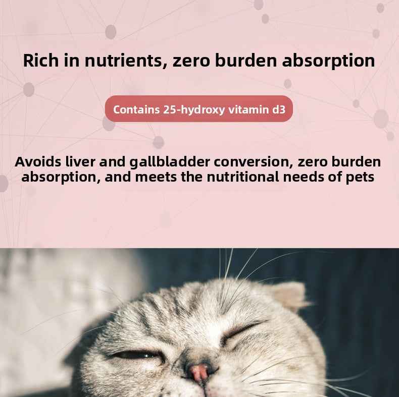 High Calorie Nutritional Gel for Cats | Cat Appetite Booster & Energy Paste – Natural Vitamins & Minerals, Supports Recovery, Improves Appetite & Vitality, Gentle Absorption, Safe for All Ages - Pawembrace.com