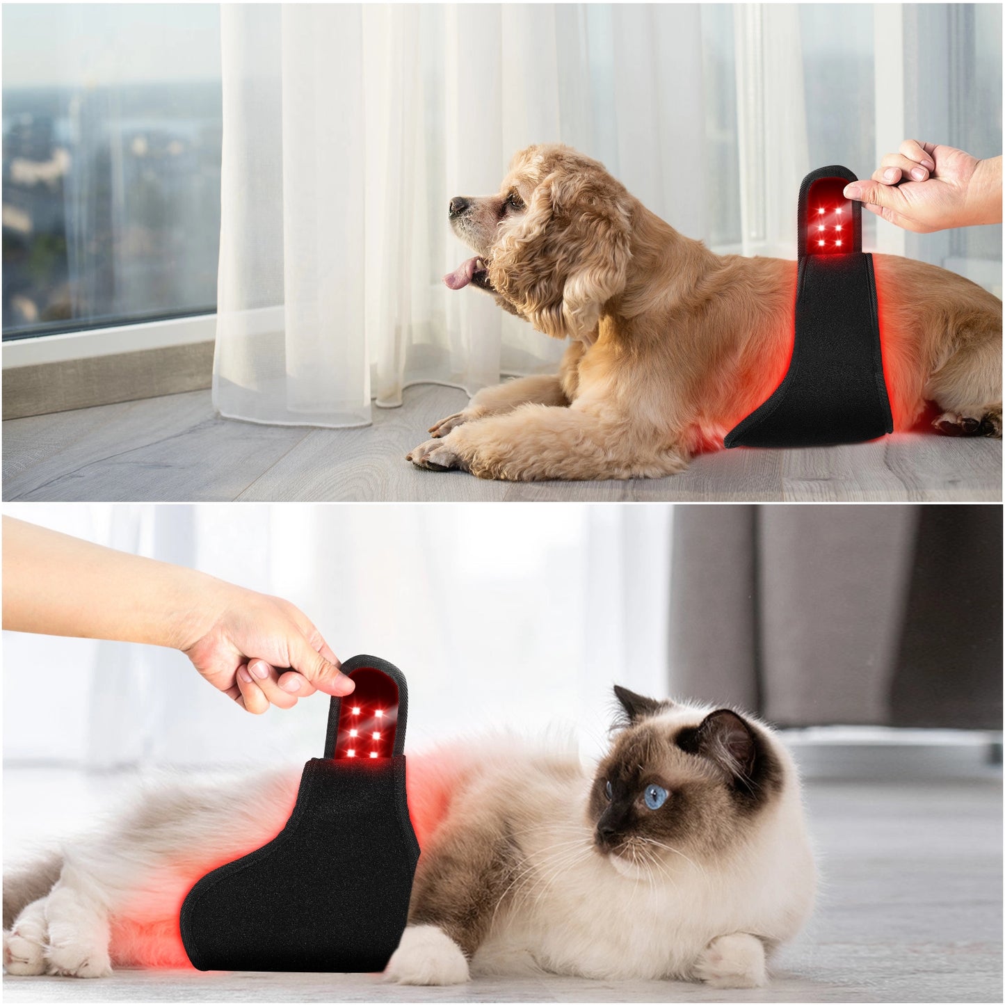 Pet Care Red Light Therapy Belt with 660NM 850NM LED Infrared Wrap for Dog and Cats