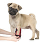 Built in Battery LED Red Light Therapy Warp with 660NM 850NM Near Infrared for Dog's Pain Relief