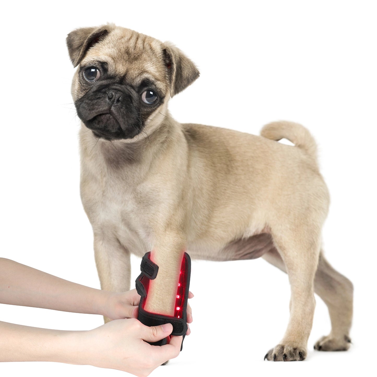 Built in Battery LED Red Light Therapy Warp with 660NM 850NM Near Infrared for Dog's Pain Relief