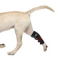 Built in Battery LED Red Light Therapy Warp with 660NM 850NM Near Infrared for Dog's Pain Relief