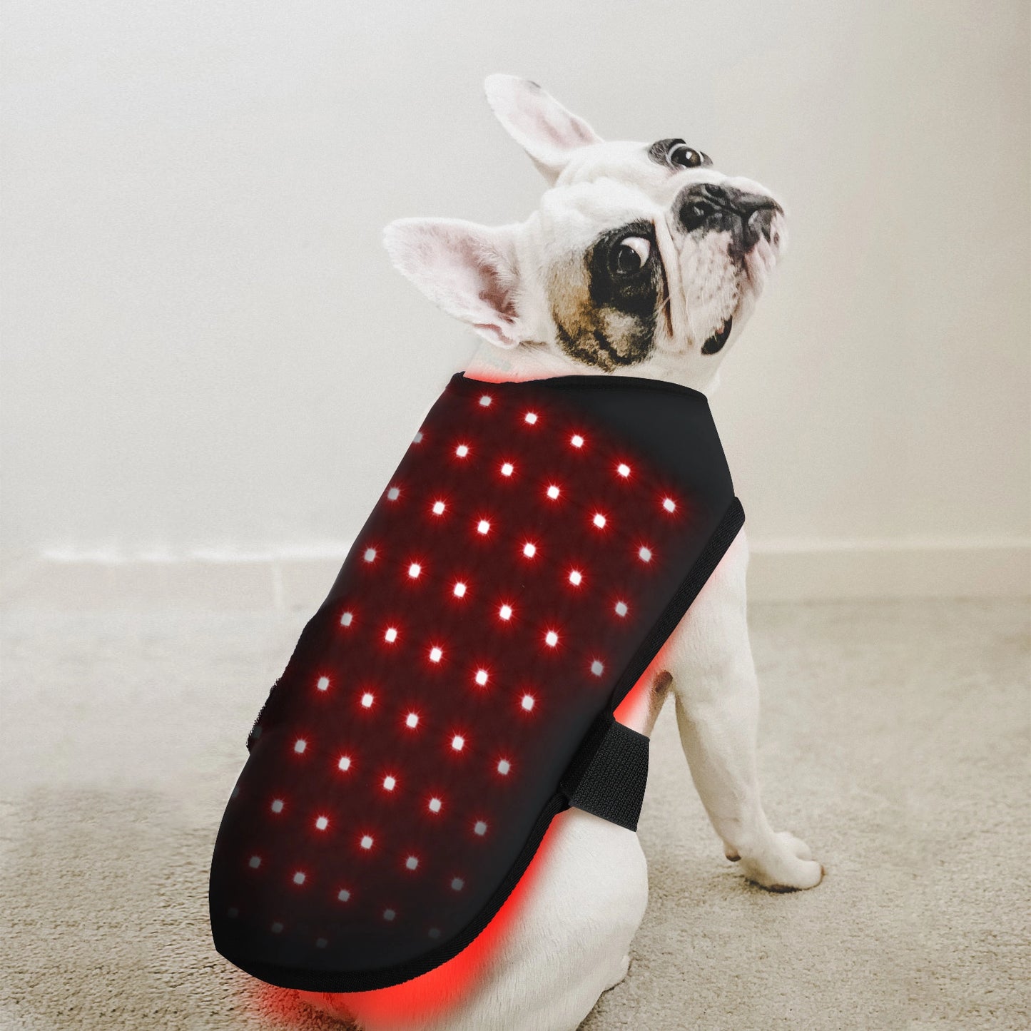 Pet Care LED Red Light Therapy Belt with Near Infrared 660NM 850NM for Dogs and Cats