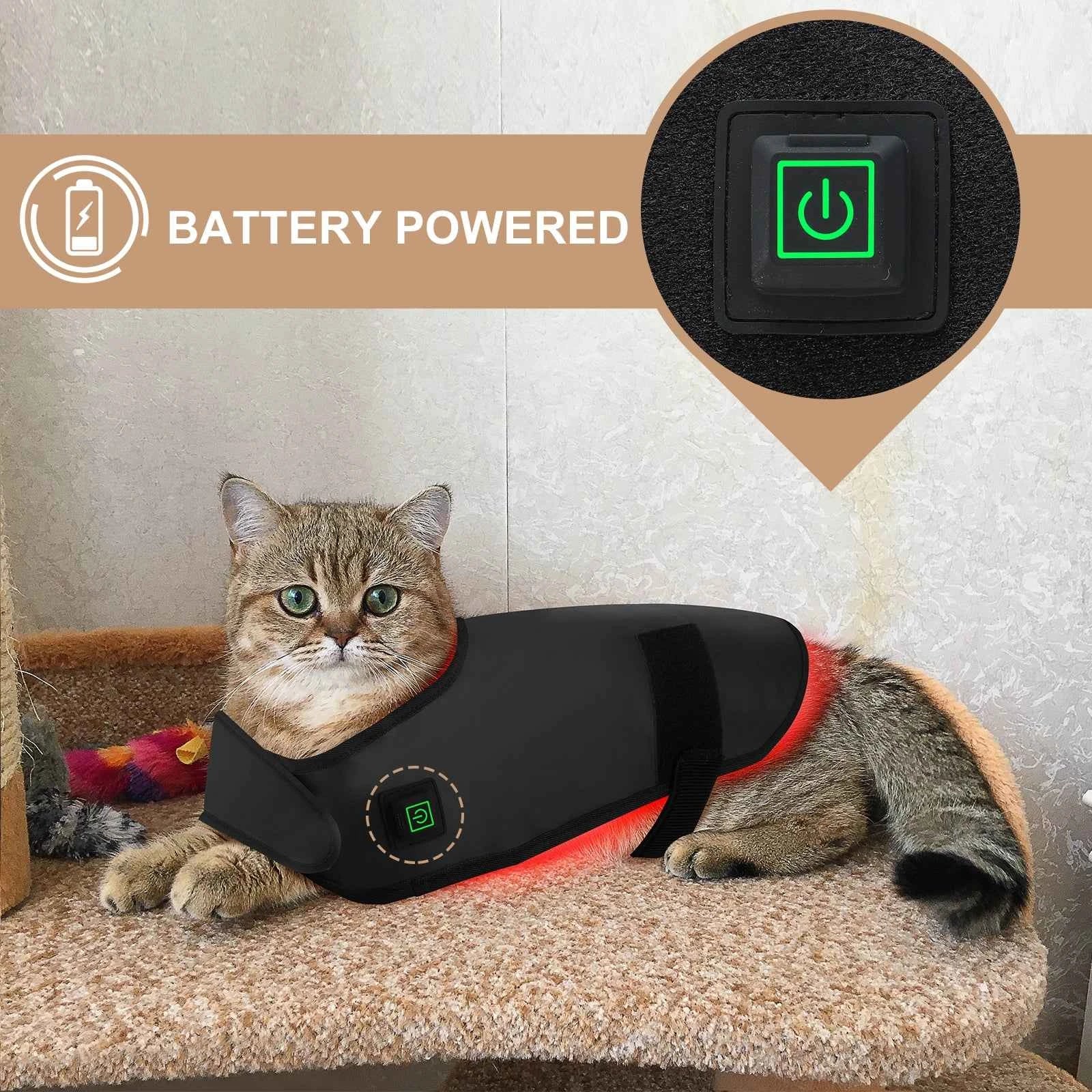 Pet Care LED Red Light Therapy Belt with Near Infrared 660NM 850NM for Dogs and Cats