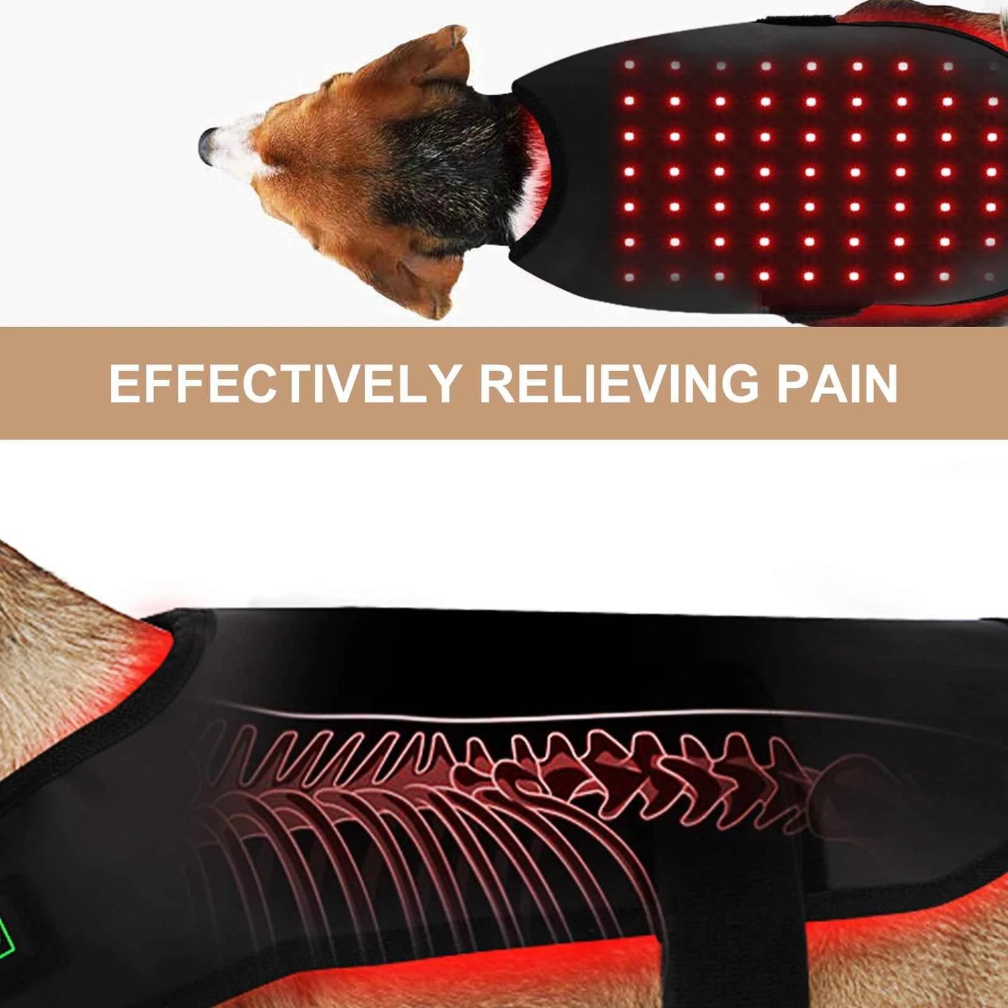 Pet Care LED Red Light Therapy Belt with Near Infrared 660NM 850NM for Dogs and Cats
