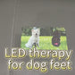 Built in Battery LED Red Light Therapy Warp with 660NM 850NM Near Infrared for Dog's Pain Relief