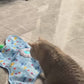 Elektrischer runder automatischer Katzen-Teaser-Ball – Neues interaktives Jagd-Selbstspiel-Langeweile-Buster-Spielzeug